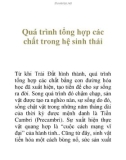 Quá trình tổng hợp các chất trong hệ sinh thái