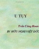 Bài giảng: U TỤY