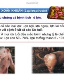 Thú y cơ bản : Các bệnh truyền nhiễm part 7