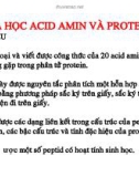 Bài giảng: HÓA HỌC ACID AMIN VÀ PROTEIN