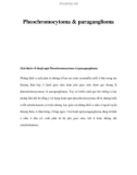 Pheochromocytoma & paraganglioma