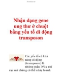 Nhận dạng gene ung thư ở chuột bằng yếu tố di động transposon