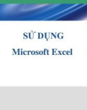 Bài giảng Sử dụng Microsoft Excel 2010