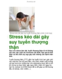 Stress kéo dài gây suy tuyến thượng thận