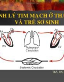 SINH LÝ TIM MẠCH Ở THAI NHI VÀ TRẺ SƠ SINH - ThS. BS. Lê Kim Tuyến