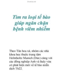 Tìm ra loại tế bào giúp ngăn chặn bệnh viêm nhiễm