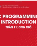 Bài giảng C Programming introduction: Tuần 11 - Con trỏ