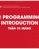 Bài giảng C Programming introduction: Tuần 10 - Mảng