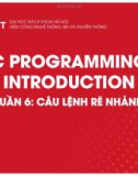 Bài giảng C Programming introduction: Tuần 6 - Câu lệnh rẽ nhánh