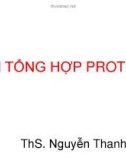 Bài giảng Sinh tổng hợp protein - ThS. Nguyễn Thanh Tố Nhi