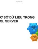 Bài giảng Cơ sở dữ liệu: Cấu trúc dữ liệu trong SQL server - ThS. Nguyễn Ngọc Quỳnh Châu