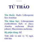 TỬ THẢO