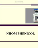 Bài giảng Dược lý chuyên đề - Nhóm Phenicol