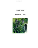 DƯỢC HỌC - BÁN CHI LIÊN