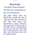 THẠCH HỘC