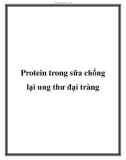 Protein trong sữa chống lại ung thư đại tràng