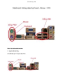 Mainboard: Không nhận Keyboard - Mouse - USB