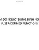 Bài giảng Cơ sở dữ liệu: Hàm do người dùng định nghĩa - ThS. Nguyễn Ngọc Quỳnh Châu