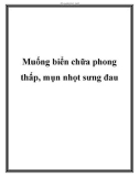 Muống biển chữa phong thấp, mụn nhọt sưng đau