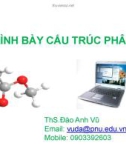 Bài giảng Trình bày cấu trúc phân tử - ThS. Đào Anh Vũ