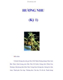 HƯƠNG NHU (Kỳ 1)