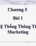 Bài giảng điện tử môn tin học: Hệ Thống Thông Tin Marketing