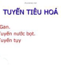 Bài giảng Mô học gan - BS. Trần Kim Thương