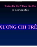 Bài giảng Xương chi trên - ĐH Y Dược Cần Thơ