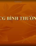 ECG bình thường