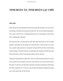 TINH HOÀN ẨN_TINH HOÀN LẠC CHỖ