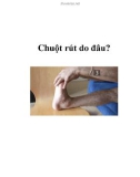 Chuột rút do đâu?