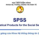 Bài giảng Tin đại cương - Chương 6: SPSS (Statistical Products for the Social Sevices)