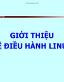 Chương 1: Giới thiệu hệ điều hành Lunix