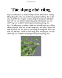 Tác dụng chè vằng