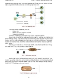 ADSL - TỔNG QUAN VỀ MẠNG THUÊ BAO NỘI HẠT part 6