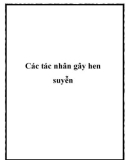 Các tác nhân gây hen suyễn