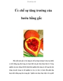 Ức chế sự tăng trưởng của bướu bằng gấc