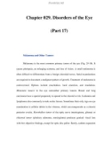 Chapter 029. Disorders of the Eye (Part 17)