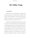 Sốc Nhiễm Trùng