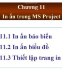 In ấn trong MS Projec