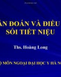 CHẨN ĐOÁN VÀ ĐIỀU TRỊ SỎI TIẾT NIỆU