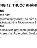 Bài giảng Chương 12: Thuốc kháng nấm