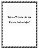 Tại sao Website của bạn Update, Index chậm?