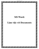 MS Word: Làm việc với Documents