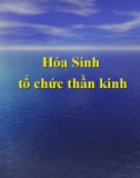 Hóa sinh tổ chức thần kinh