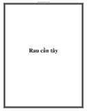 Rau cần tây