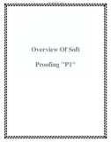 Overview Of Soft Proofing P1