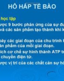 Bài giảng: HÔ HẤP TẾ BÀO