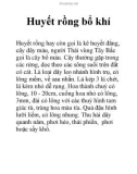 Huyết rồng bổ khí