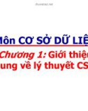 Chương 1: Giới thiệu chung về lý thuyết CSDL